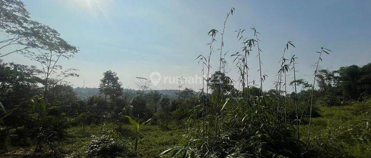 Tanah Kebun Manggis Bisa Beli Sebagian di Purwakarta Dijual Murah 1