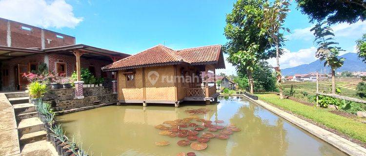 Dijual Murah Rumah Villa Kolam Ikan 2281 M2 di Tanjungsari Sumedang 1