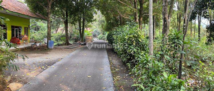 Dijual Murah Tanah Kebun Di Kampung Udara Dingin Bojong Purwakarta 1