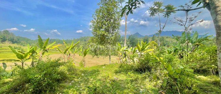 Tanah Kebun Nangka Dijual di Daerah Dingin Bojong Purwakarta 1