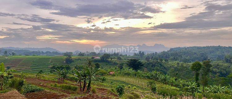 Dijual Murah Tanah Pemandangan Bagus di Desa Kertasari Bojong Purwakarta  1