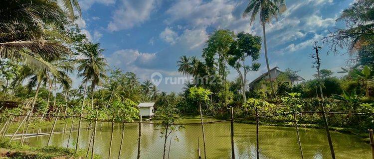 Jual Murah Tanah Ada Kolam Ikan Dan Bangunan di Dekat Wisata Cirata Bandung Barat 1