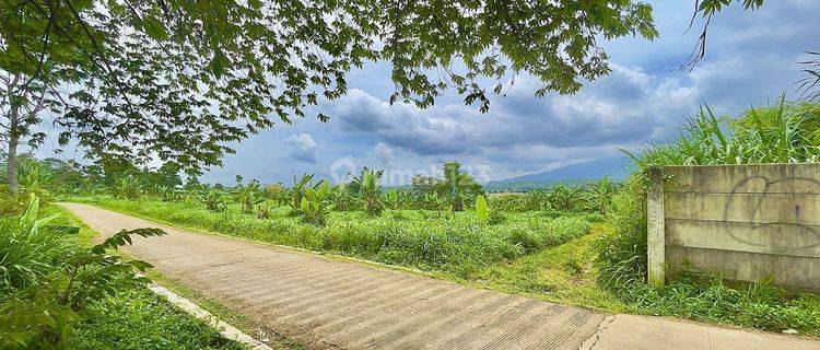 Tanah Datar Dataran Tinggi 1,9 Ha Dijual Murah di Darangdan Purwakarta 1