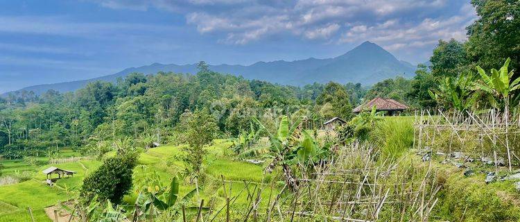 Jual Tanah Ada Air Mengalir Pinggir Jalan Udara Dingin Pemandangan Bagus 1