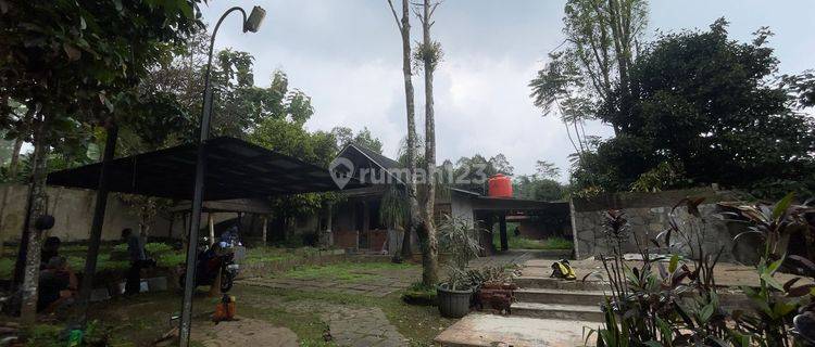 Jual Rumah Villa Kebun Manggis + Durian Pinggir Jalan Raya Wanayasa Purwakarta 1