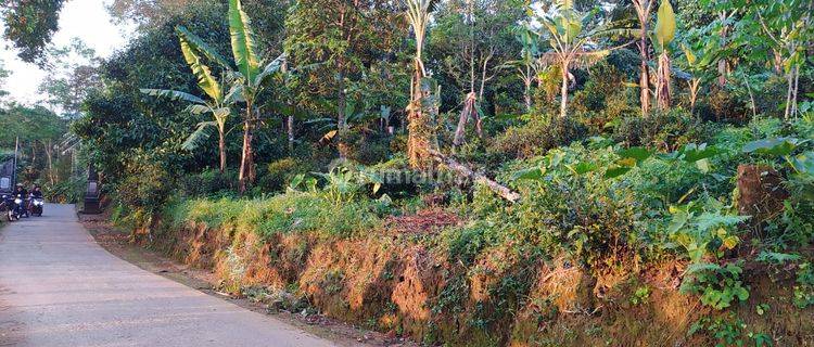 Dijual Murah Tanah Kebun Manggis Bisa Beli Sebagian di Purwakarta 1