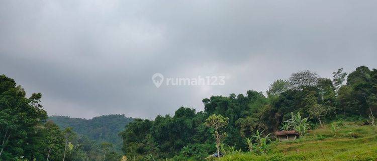 Dijual Murah Tanah Sawah 1433 M2 Pinggir Sungai Kecil di Bojong Purwakarta 1