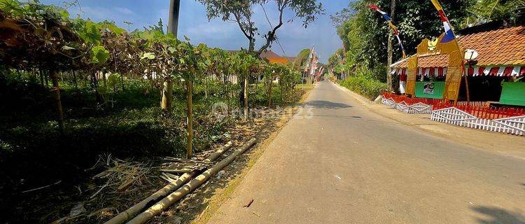 Jual Tanah Kebun Akses Mobil Pinggir Jalan di Darangdan Purwakarta 1