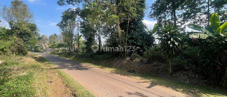 Jual Tanah Kebun 2 Menit Ke Gerbang Tol Darangdan Purwakarta  1