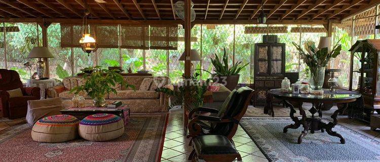 Dijual Rumah Asri Harga Dibawah Njop Di Jagakarsa Raya Jakarta Selatan  1