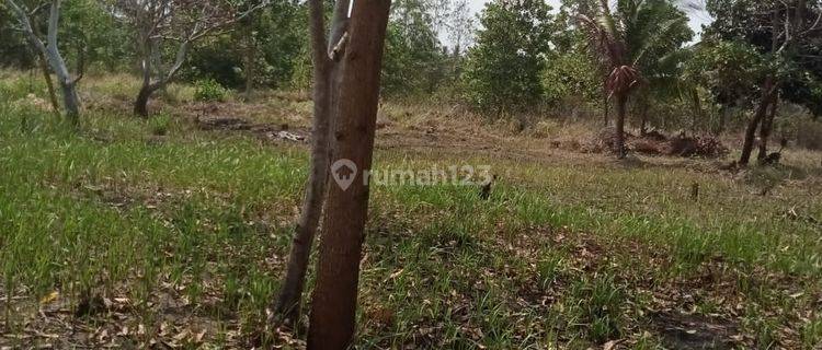 Dijual Tanah di Kepulauan Bangka, Limbang Jaya 1