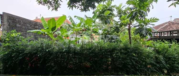 Dijual Tanah Dekat Kampus Undip Tembalang 1