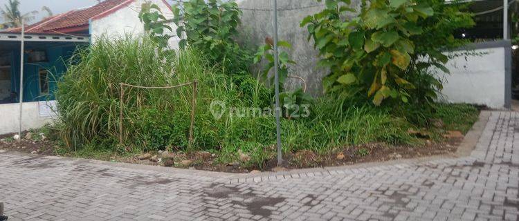 Di Jual Tanah Siap Bangun Di Bangetayu Wetan Semarang Timur 1