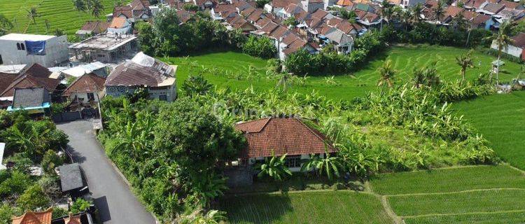 Dijual Tanah Zona Kuning 11 Are Canggu Bali Contact +62 81977403529 1