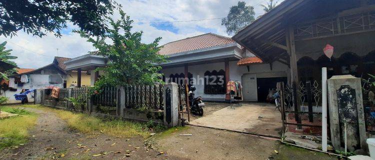 Rumah Besar Dan Luas Di Kadipaten Wiradesa Pekalongan 1