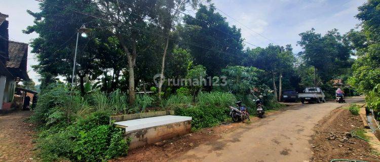 Tanah Kebon Durian Produktif Di Talun Pekalongan 1