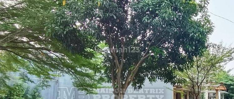 Kavling Posisi Hoek Lokasi Bagus Dan Sangat Strategis Di Taman Chrysant 1 1