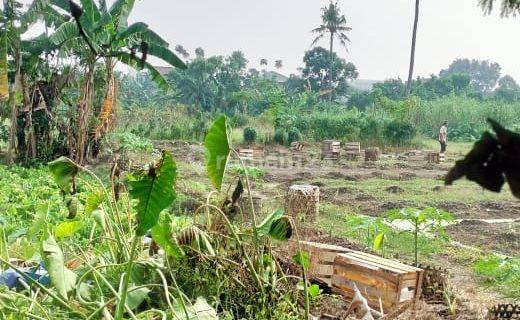 Dijual Lahan Kosong di Ancol. Harga Dibawah Njop  1