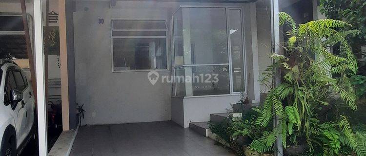 Rumah bagus disewakan  1