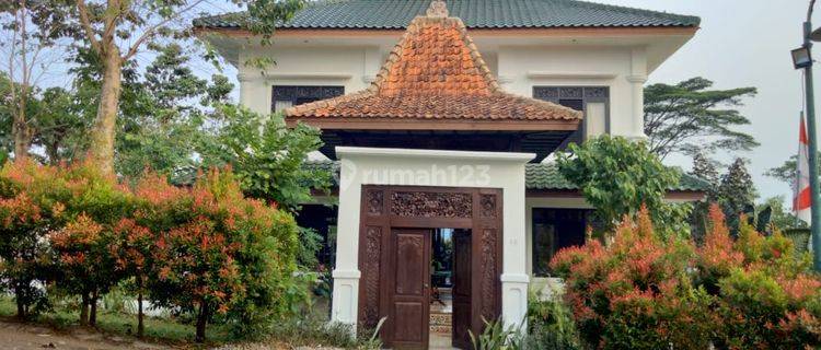 Rumah disewakan  1