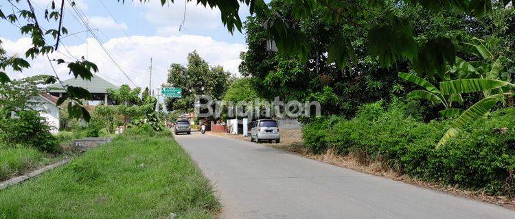 LAHAN BAGUS UNTUK GUDANG ATAU USAHA, DIPINGGIR JALAN YANG RAMAI LOKASI DESA GEBANG KENDAL 1