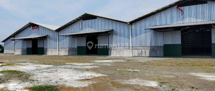 Disewakan Gudang Siap Pakai di Jalan Baru Karawang 1