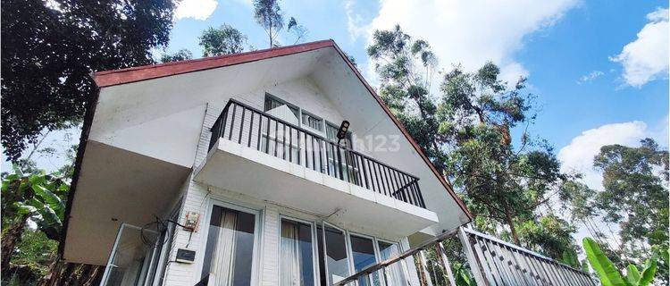 Investasi Villa Dan Tanah di Dekat Bubu Jungle Ciwidey  1