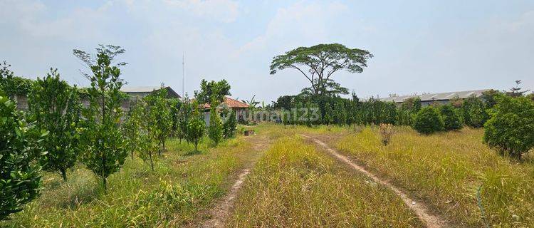 Tanah di jl.Raya Cukang Galih (dekat Cikupa).Tangerang SHM 16657 m² 1