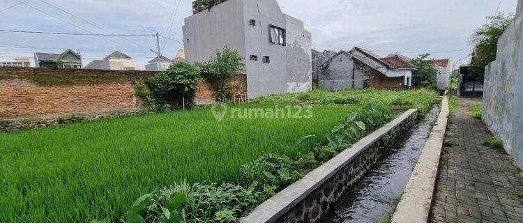 Teluk Grajakan Area Blimbing Kota Malang 1