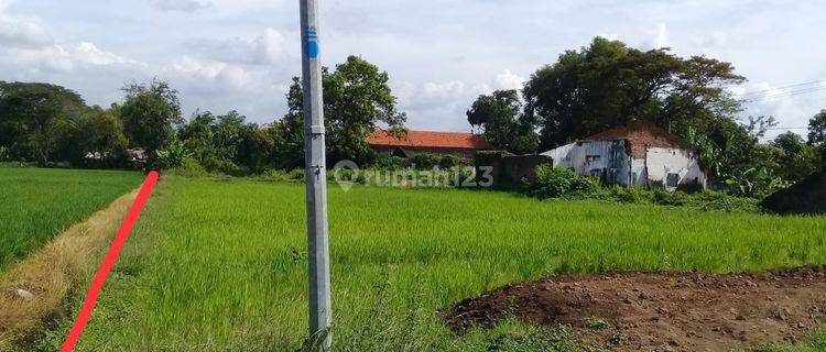 Tanah Kosong Artetis Air Sumber Kabupaten Pasuruan 1