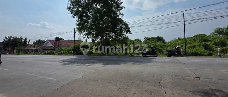 Lahan 3.4 Hektar Raya Gending Probolinggo dekat Exit Tol 1