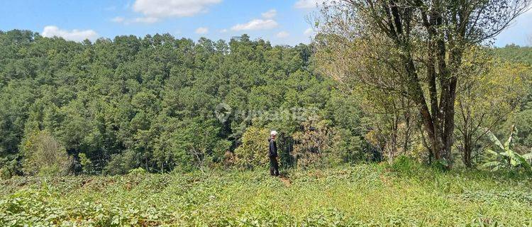 Tanah Lokasi Ngajum Gunung Kawi 5 Menit Dari Lembah Indah Malang 1