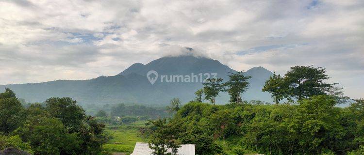 Tanah Strategis Daerah Industri Ngoro Mojokerto 1