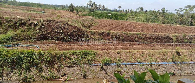 Tanah Siap Bangun Ngajum Lokasi Gunung Kawi Kabupaten Malang 1