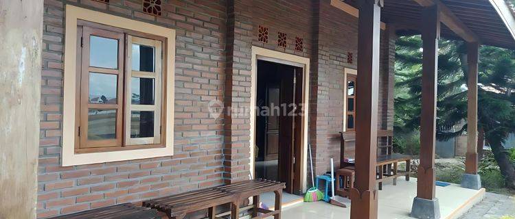 Dijual Rumah Homestay di Kadirojo Palbapang, Bantul 1