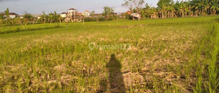 Tanah Sewa Jalan Utama Taman Pancing 1