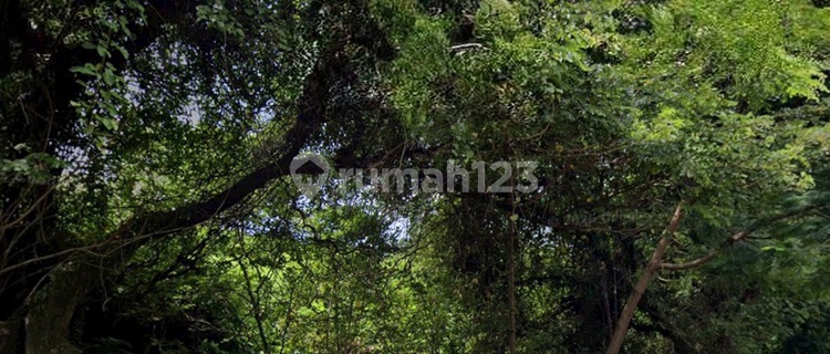 1 Hectare of Land in Kic Gatsu Semarang 1