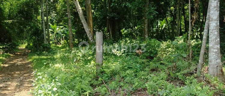 Tanah di Gunung Pati Semarang, Gunung Pati 1