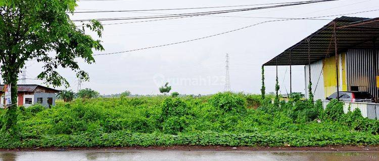 Tanah Kavling Strategis Di Jalan Andi Mapainga Barombong 1