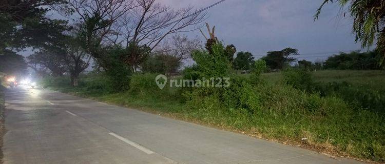 Di jual tanah di cirebon luas 4,9ha, pinggir jalan 1