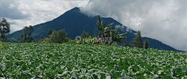 Tanah View Gunung Udara Sangat Sejuk Dan Dingin Cocok Untuk Vila Maupun Resto Di Kopeng 1