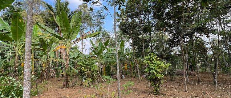 Tanah Bentuk Kotak Rata Siap Bangun Di Tingkir Salatiga 1