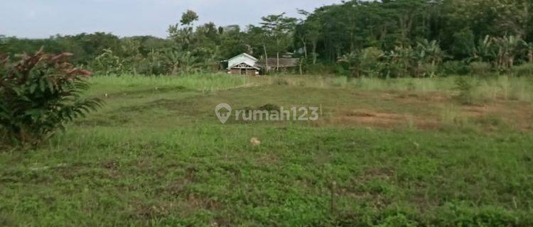 Tanah murah setrategis Deket area kelapanunggal 1