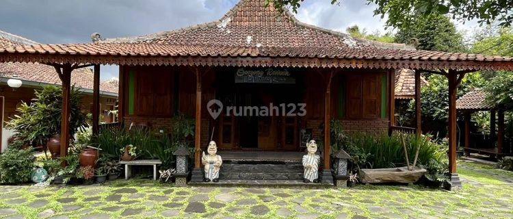 Rumah Limasan Joglo Mewah Full Furnished Dengan Kolam Bagus Rumah SHM 1