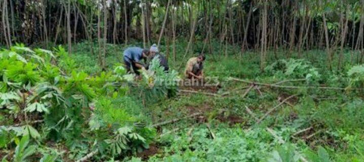 Dijual Cepat Tanah Bagus Untuk Investasi 1