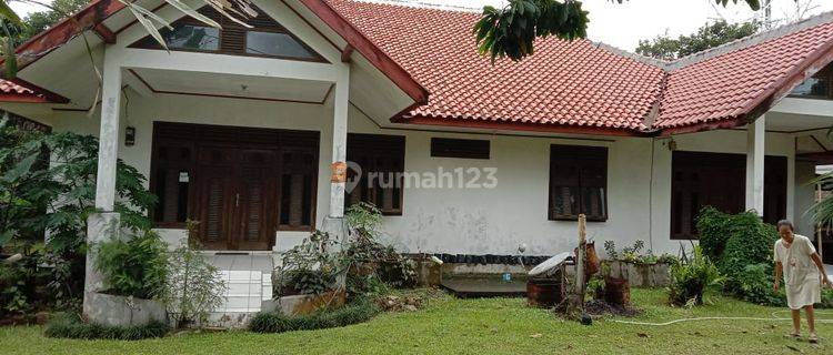 Dijual Cepat Rumah Besar Dengan Halaman Luas di Cimanggu Bogor 1