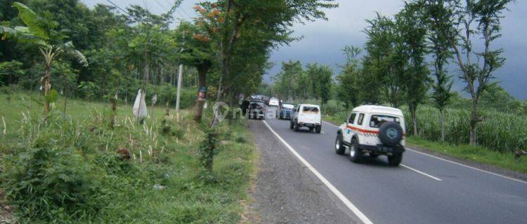 Tanah Daerah Jalan Raya Probolinggo Lumajang 1