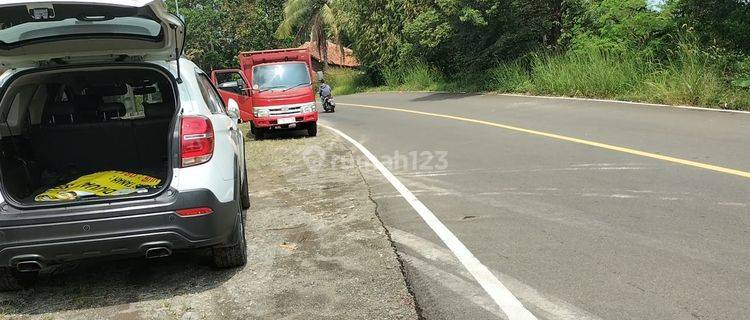 Tanah pinggir jl raya di jual 1