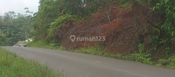 Di Jual Tanah Kebun 1