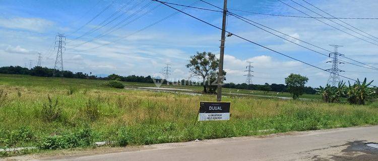 Tanah Sawah Jalan Utama Pakupatan Serang Dekat Tol 1